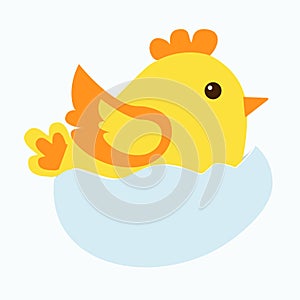 Funny Easter chicken in shell